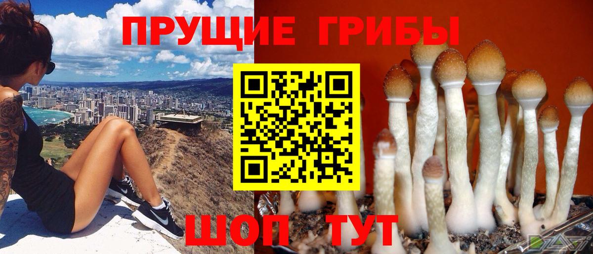 APVP СК кристаллы  Вход с VPN  Меф МЯУ МЯУ кристаллы  Сухой Лог  COCAIN  Гашиш 