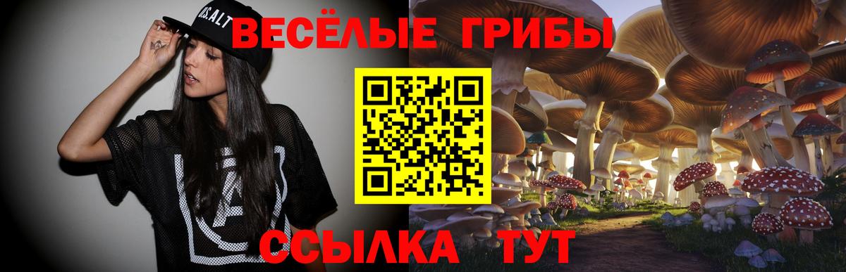 Псилоцибиновые грибы Magic Shrooms  цена наркотик  Сухой Лог  Галлюциногенные грибы MAGIC MUSHROOMS  Вход с VPN 